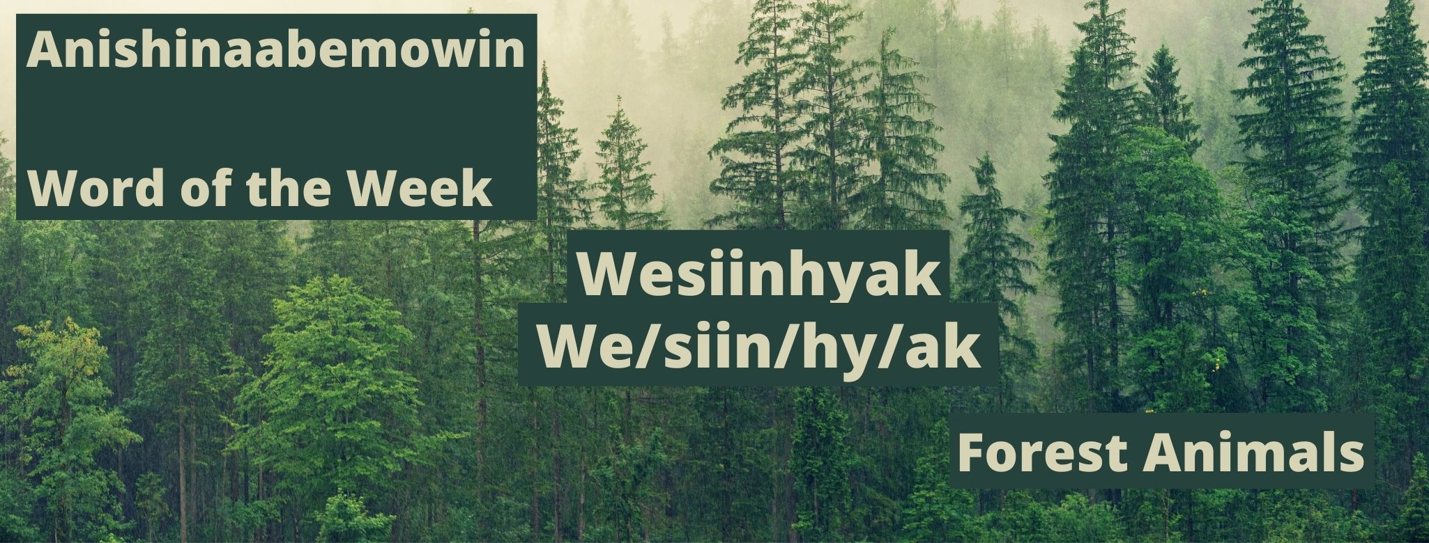 Anishinaabemowin word of the week Wesiinhyak Forest animals